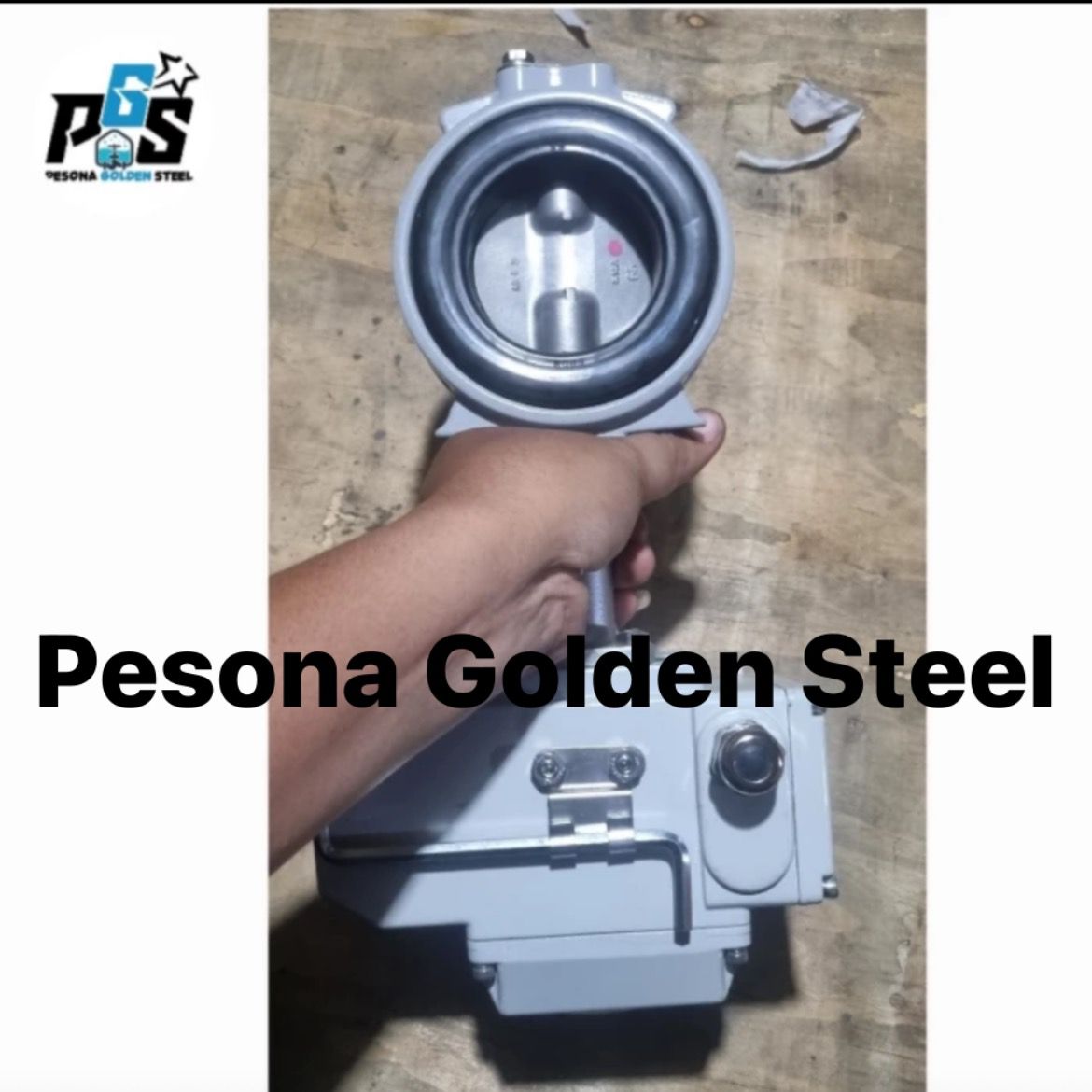 Butterfly Valve
